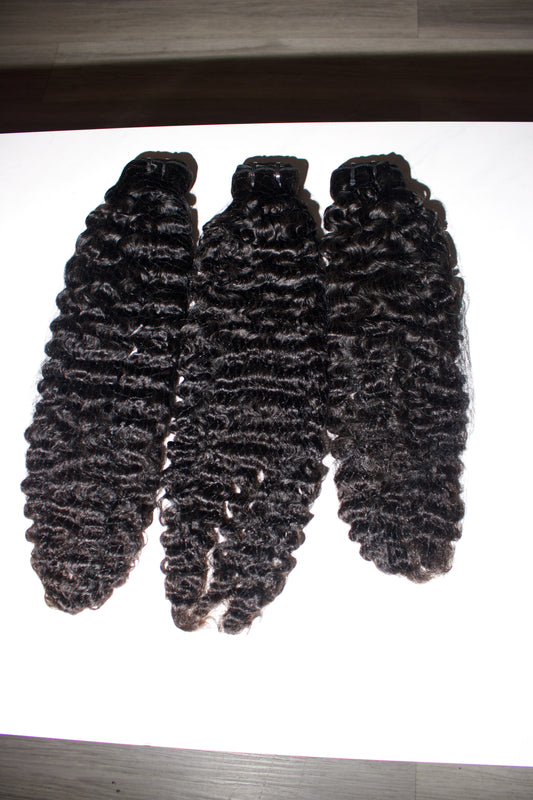 Burmese Curly